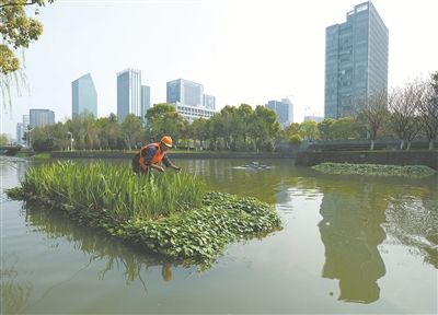 河道维护与治理